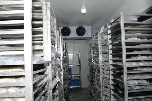 速凍冷庫和冷凍冷庫的區(qū)別？